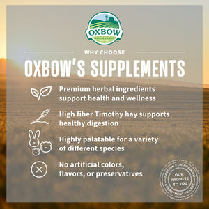 Oxbow Animal Health Natural Science Vitamin C Support