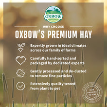 Load image into Gallery viewer, Oxbow Animal Health Western Timothy Hay All Natural Hay for Rabbits Guinea Pigs Chinchillas Hamsters &amp; Gerbils
