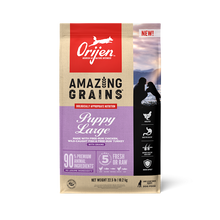 Load image into Gallery viewer, ORIJEN High Protein Amazing Grains Large Breed Puppy Dry Dog Food
